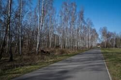 Mauerweg