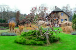 Gartenansicht Haus 