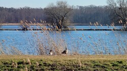 See am Ende des Grundstücks