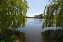 Dorfsee2