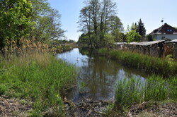 Dorfsee