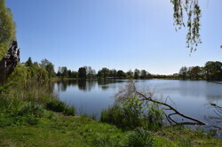 Dorfsee3