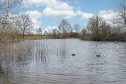 Krummer See in Fredersdorf-Vogelsdorf