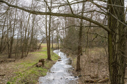 Fredersdorfer Mühlenflies