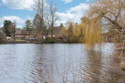Krummer See in Fredersdorf-Vogelsdorf