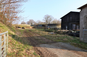 AA IMG_2200