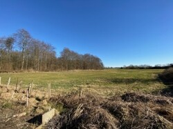 Blick in die Wiesen