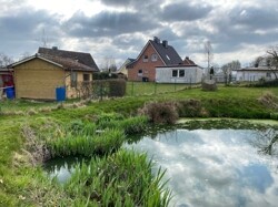 Teich (2)