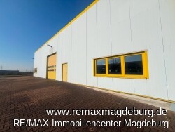 IMG_1994