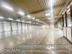 IMG_1977