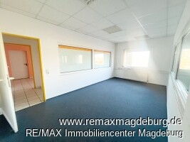 IMG_1963