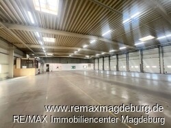 IMG_1981