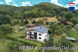 RE/MAX Immobilien DeLux Haus Ayl Außenansicht