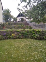 Garten 1