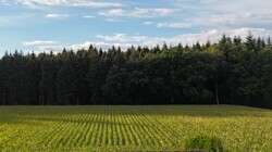 DJI_20240912182735_0316_D