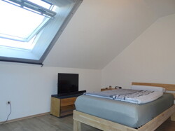 Zimmer DG