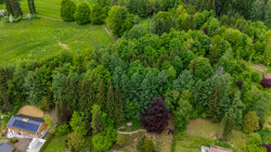www.remax-prime.de