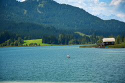 www.remax-prime.de