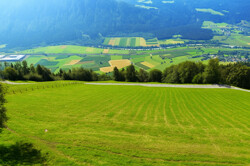www.remax-prime.de