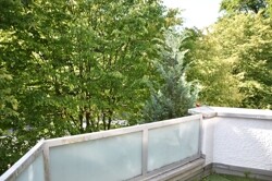 Blick ins Grüne