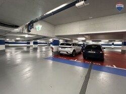 IMG_1482