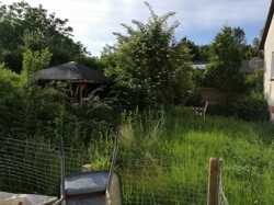 Der Garten