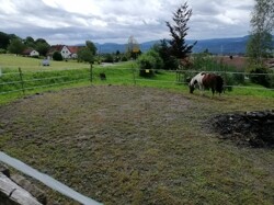 Aussenbereich Pferde