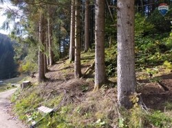 Natur pur!