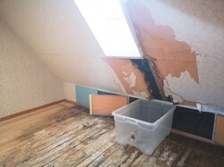 Fensterschaden DG