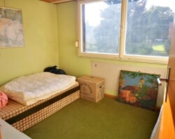 Zimmer DG