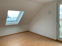2. ZImmer DG