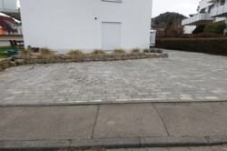 DSC05384