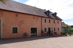 Bild-1