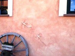 Bild-3