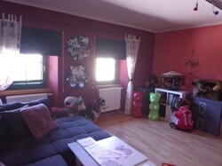 Bild-30