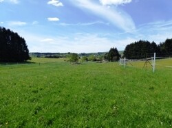 Bild-48