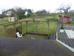 Blick in Garten