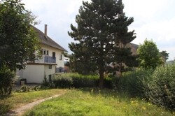 Garten Rückseite