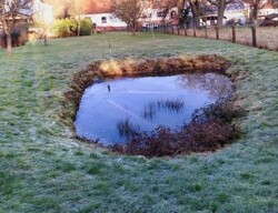 Teilansicht Hausparzelle (mit Teich)