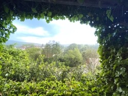 Aussicht vom rückwärtigen Balkon