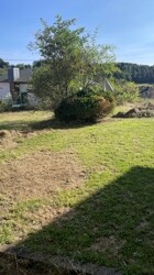 Blick aufs Grundstück