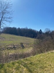Blick in die Ferne