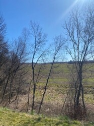 Blick in die Ferne