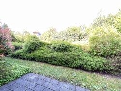 Blick von der Terrasse ins Grüne