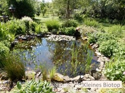 Kleines Biotop