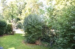 Gemeinschaftsgarten