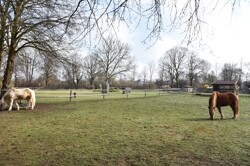 Umweltgarten