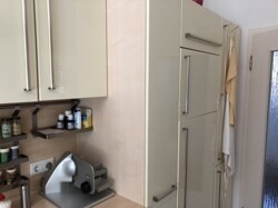 Ida  (40)_ji
