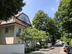 Ida  (73)_ji