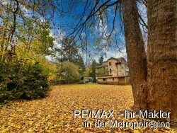 Vom Pachtgrund Richtung Haus mit re Baum